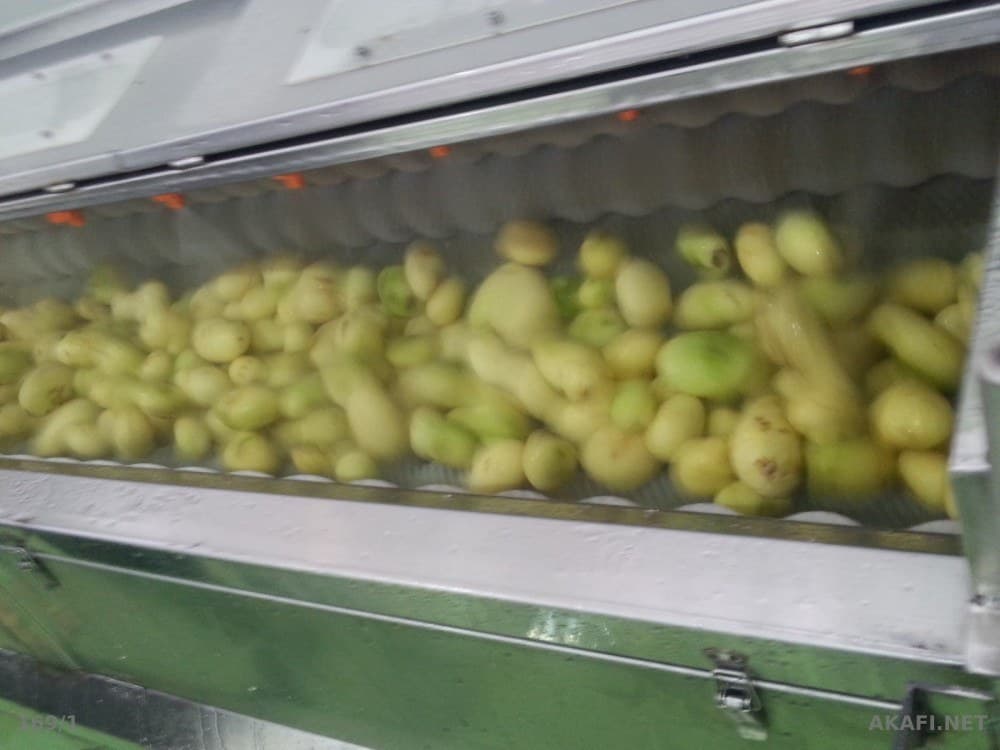 Half-Fried Potato Factory